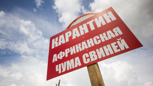 В корпорации развития Калининградской области назвали АЧС 