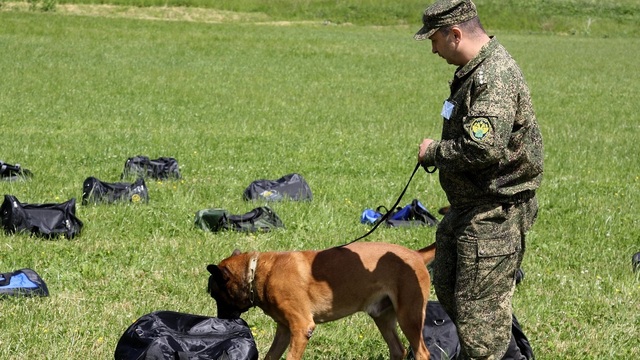 Калининградские кинологи победили на соревнованиях в Польше по обнаружению наркотиков