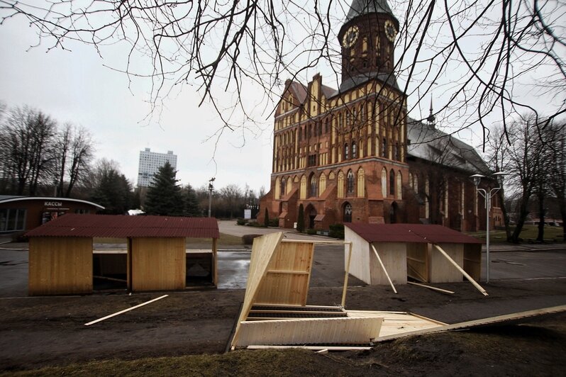 Александр Подгорчук, "Клопс"