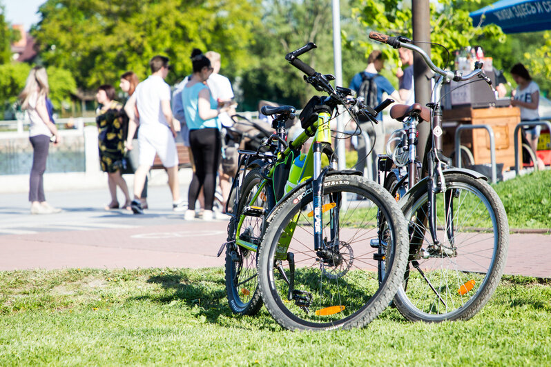 В Калининграде прошел городской велоквест "Победный путь!" - Новости Калининграда