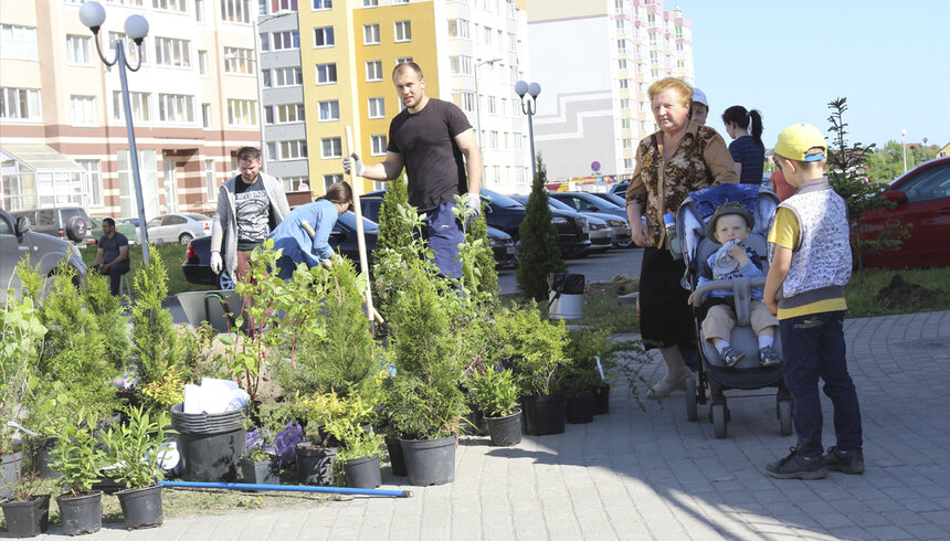 В жилом районе "Восток" высадился "зелёный десант" - Новости Калининграда