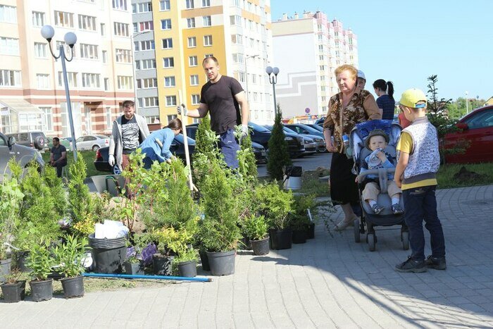 &quot;Место, где свет&quot;: куда переезжают жители Калининграда? - Новости Калининграда