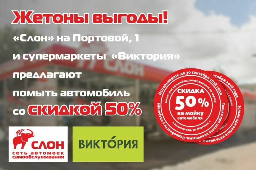 Жетоны выгоды: &quot;Слон&quot; и &quot;Виктория&quot; предлагают помыть машину со скидкой 50% - Новости Калининграда