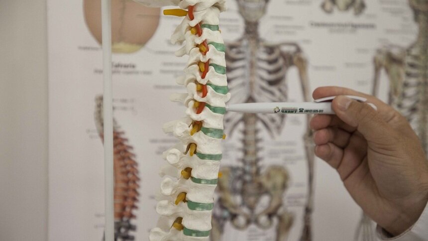 Непрофессиональная работа с проблемами мышц позвоночника и суставов может нанести вред - Новости Калининграда