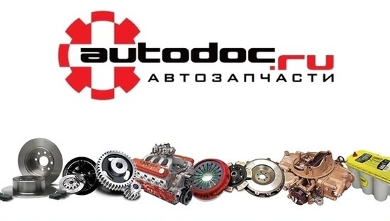 Экономия при покупке автозапчастей: в Калининграде магазин Autodoc.ru открылся на новом месте - Новости Калининграда