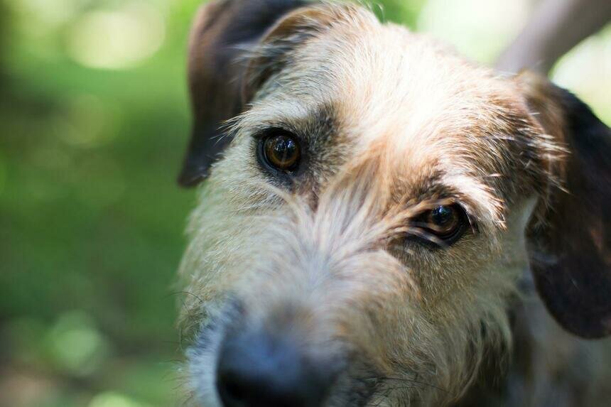 Фото: Александр Подгорчук