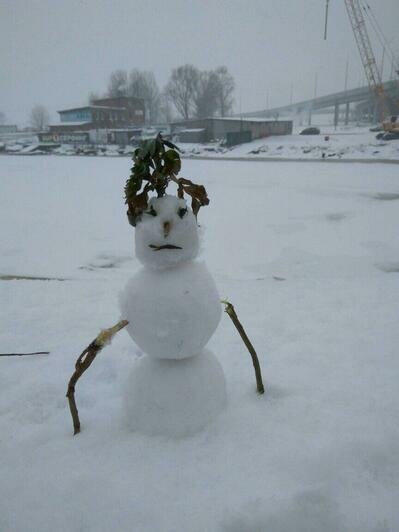 Татьяна Токарева