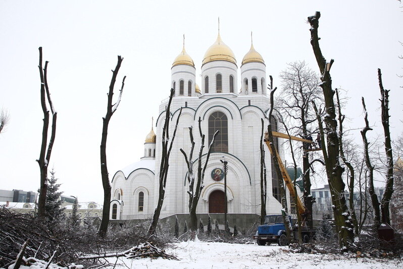 Александр Подгорчук / &quot;Клопс&quot;