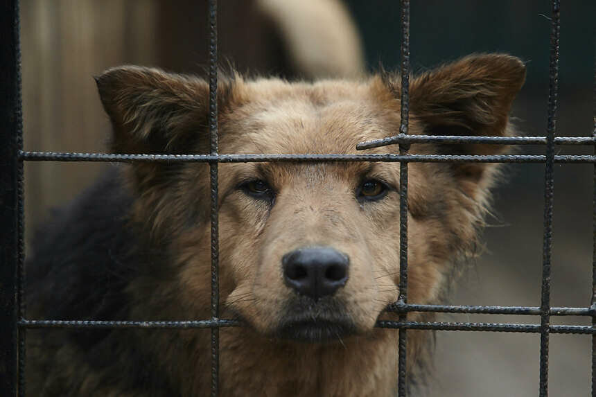 Александр Подгорчук / &quot;Клопс&quot;