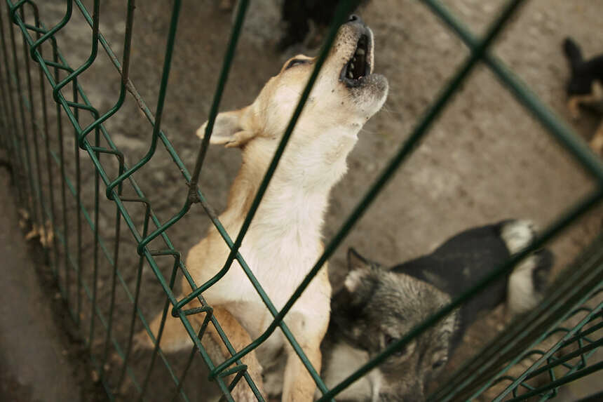 Фото: Александр Подгорчук