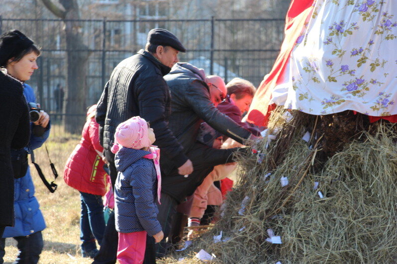 Бои на подушках, хороводы и сжигание чучела: в Калининградском зоопарке готовятся отмечать Масленицу (программа) - Новости Калининграда