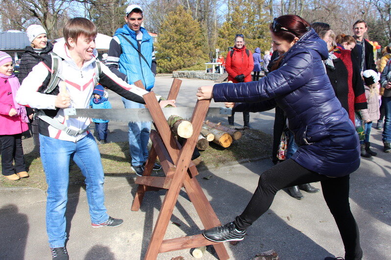 Бои на подушках, хороводы и сжигание чучела: в Калининградском зоопарке готовятся отмечать Масленицу (программа) - Новости Калининграда