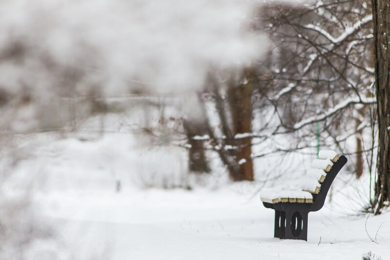 Александр Подгорчук / "Клопс"