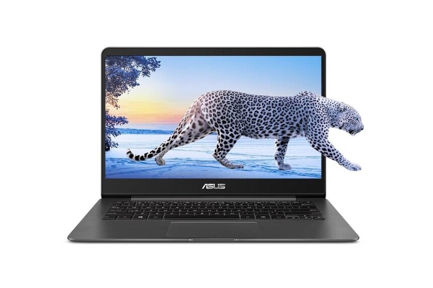 В фирменном магазине ASUS праздники не заканчиваются - Новости Калининграда