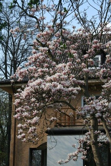 Фото: личный архив Аполлинарии Зуевой 