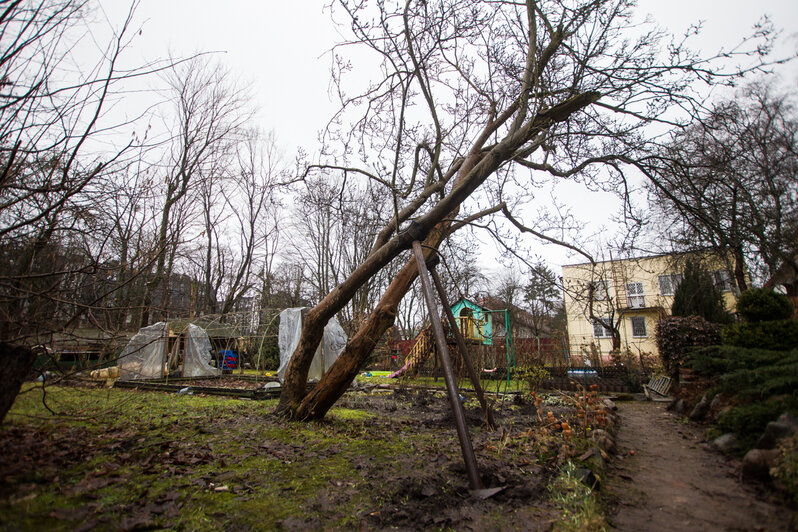 Фото: Александр Подгорчук / "Клопс"