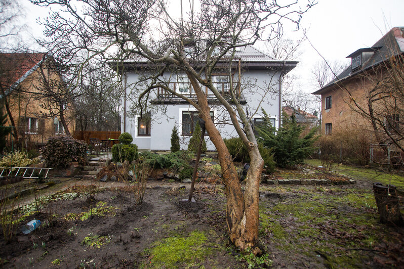 Фото: Александр Подгорчук / "Клопс"