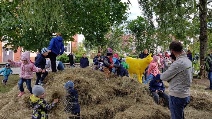 Фестиваль StreetFood прошёл в Немане при поддержке концерна &quot;Росэнергоатом&quot; - Новости Калининграда