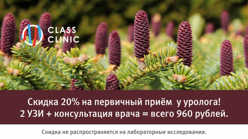 Скидка 20% на приём и обследование у уролога-андролога — запишитесь по 30 ноября  - Новости Калининграда