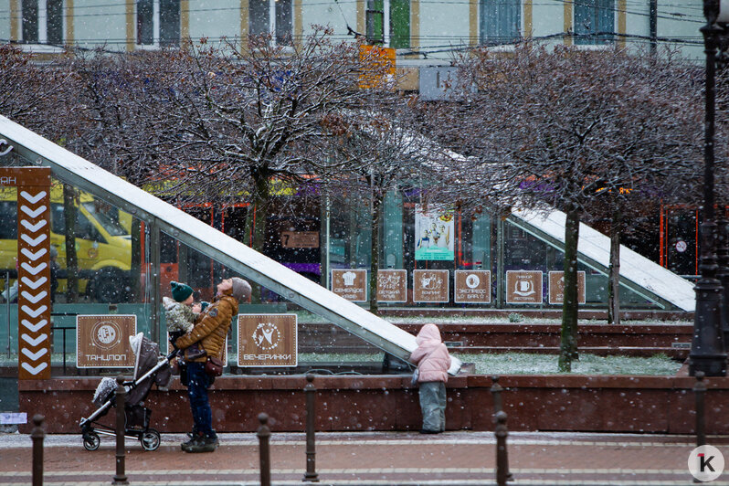 В Калининграде прошёл снег (фоторепортаж) - Новости Калининграда | Александр Подгорчук / &quot;Клопс&quot;