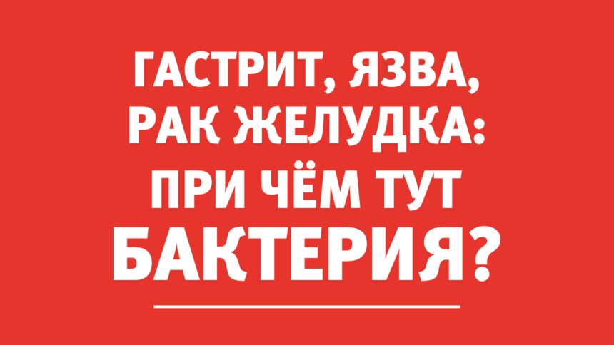 Гастроэнтеролог: Эта бактерия — одна из причин гастрита, язвы и рака желудка - Новости Калининграда