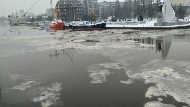 Очевидцы: поверхность Преголи напротив Музея Мирового океана покрыта неизвестной субстанцией (фото)