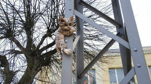 В Зеленоградске установили новые скульптуры котов (фото)