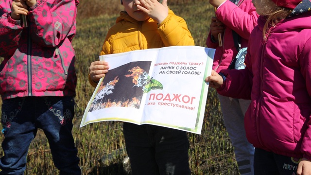 Калининградские дошкольники вышли на сожжённое поле с плакатами против пала травы