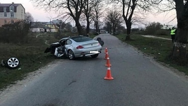 В Зеленоградском районе BMW превысил скорость и врезался в дерево