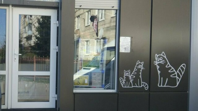 В Зеленоградске предприниматели украшают магазины изображениями котов