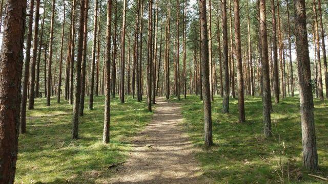 Чем заняться в Ниде: пять идей для новичков и бывалых туристов 