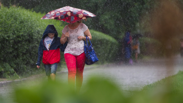 В Калининграде ожидается дождливая рабочая неделя