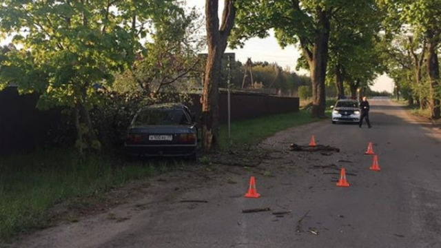 В Гвардейске Audi вылетел с дороги и врезался в дерево, пострадал пассажир