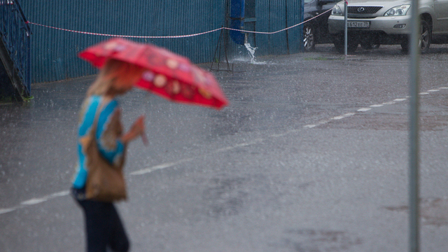 В Калининграде на выходные потеплеет до +24