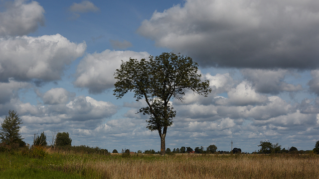 Синоптики рассказали о погоде в Калининграде на выходные