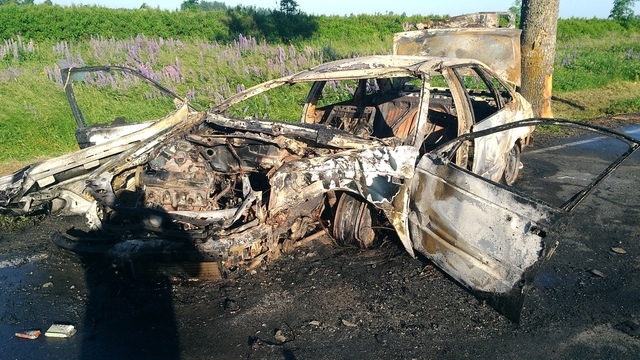 В Багратионовском районе Volkswagen врезался в дерево и загорелся, погибла девушка