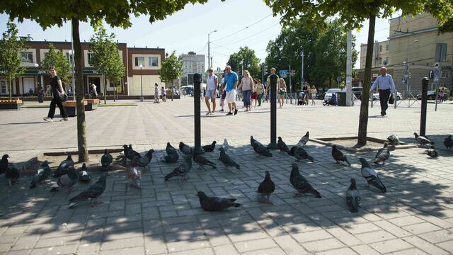 Метеорологи назвали самые солнечные города России