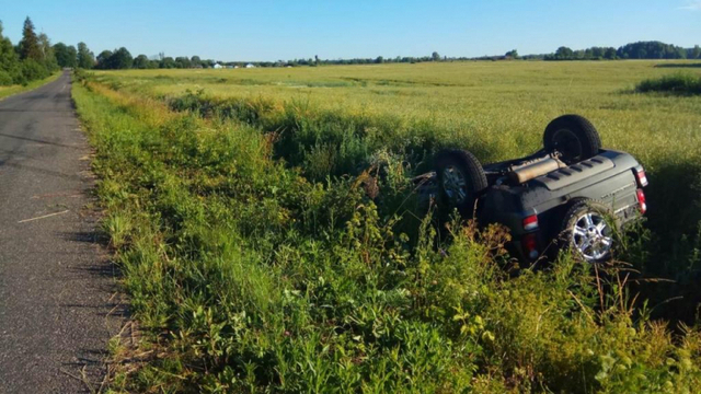 В Правдинском районе за сутки две иномарки съехали в кювет, одна перевернулась