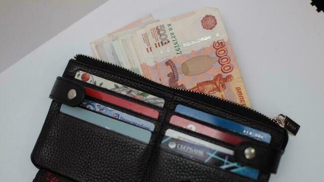 Минэкономразвития намерено взять под контроль доходы и расходы россиян