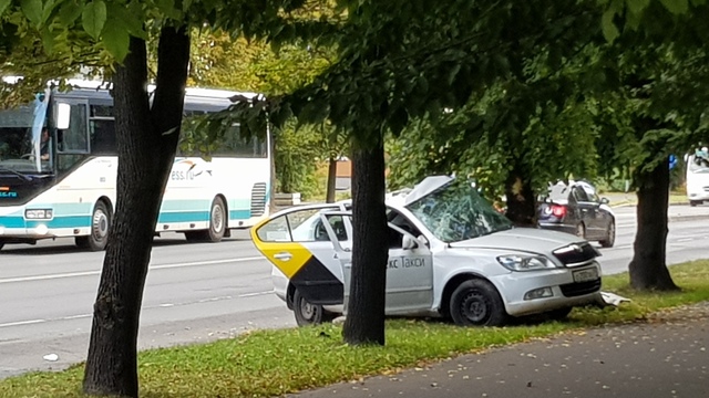 На ул. Невского в Калининграде такси врезалось в дерево, есть пострадавшие (фото)