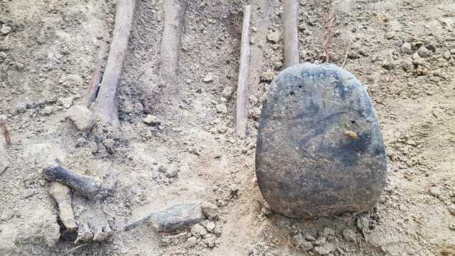 Из найденного в Чкаловске захоронения времён войны подняли останки девяти бойцов (фото)