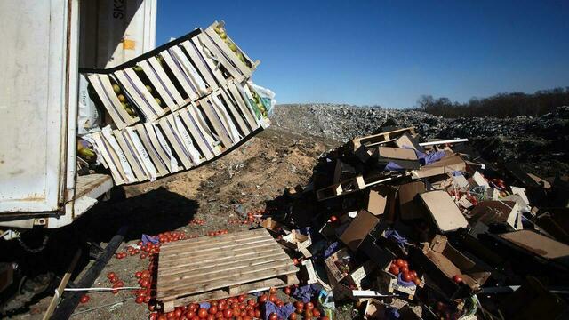 Россия продлила режим уничтожения санкционных продуктов ещё на год  