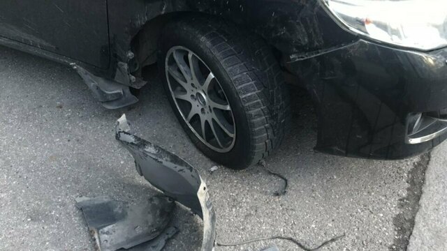 На ул. Генделя бродячие собаки повредили припаркованную машину (фото)