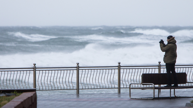 МЧС предупредило об усилении ветра на калининградском взморье