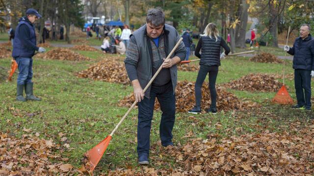 В Калининграде прошёл общегородской субботник (фоторепортаж)