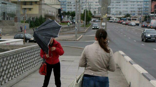 Мэрия предупредила калининградцев об усилении ветра до 23 метров в секунду
