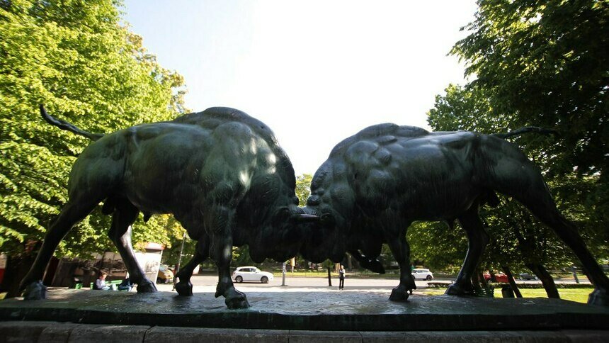 Горсовет Калининграда планирует обследовать "Борющихся зубров" из-за коррозии - Новости Калининграда | Архив "Клопс"