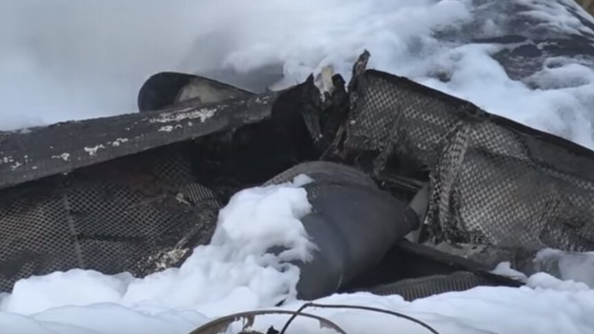 Опубликовано видео с места авиакатастрофы, в которой погибла совладелица S7 Наталья Филева - Новости Калининграда | Фото: кадр видеозаписи