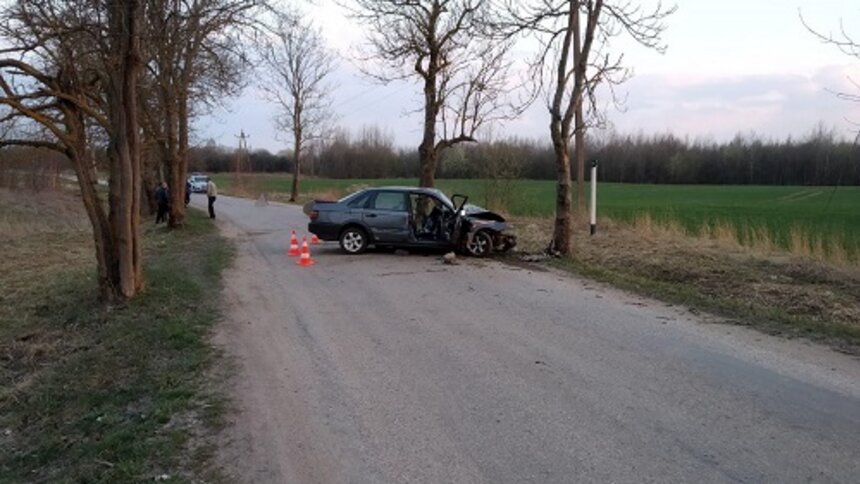 В Нестеровском районе Volkswagen врезался в дерево, есть пострадавший (фото) - Новости Калининграда | Фото: пресс-служба регионального УМВД