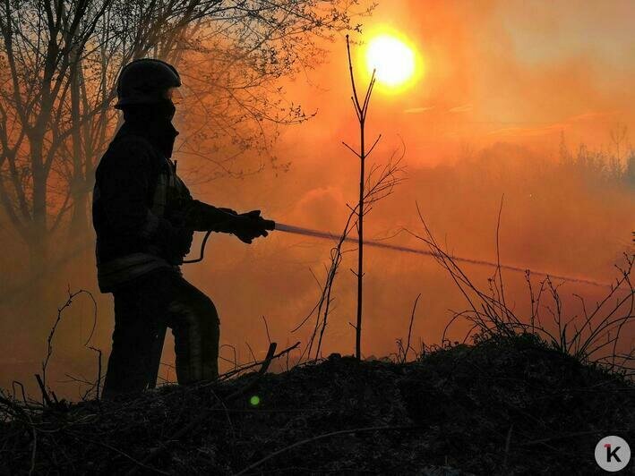 В Тихорецком тупике из-за пала травы загорелись покрышки вблизи построек (фото) - Новости Калининграда | Фото очевидца